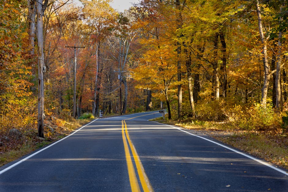 A two-lane rural road with freshly painted yellow double lines running through a forested area during autumn, with trees displaying vibrant orange, yellow, and green foliage on either side. The road c